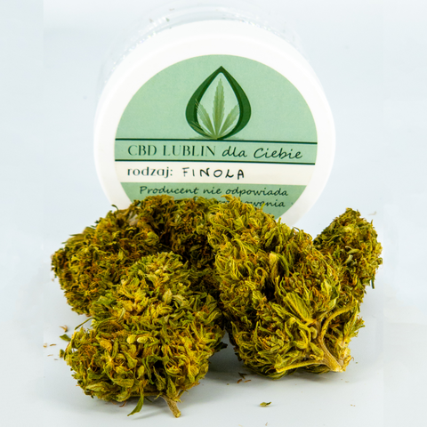 Finola Premium - Susz konopny CBD